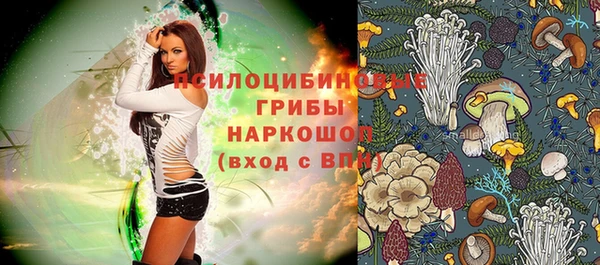 соль курить ск Дмитров