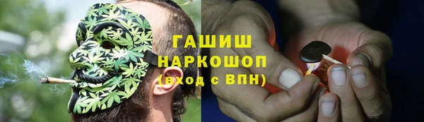 мяу мяу мука Дмитриев
