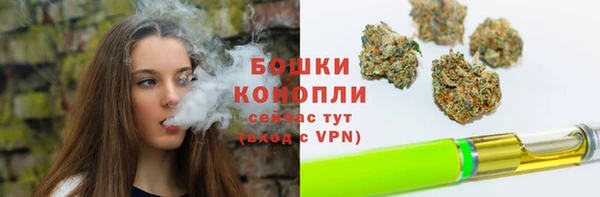 мяу мяу мука Дмитриев