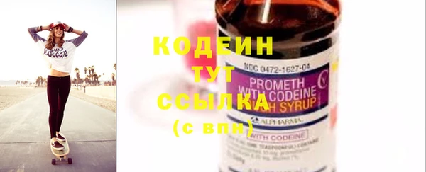 дживик Ельня
