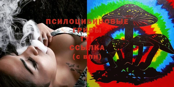 прущий лед Дмитровск