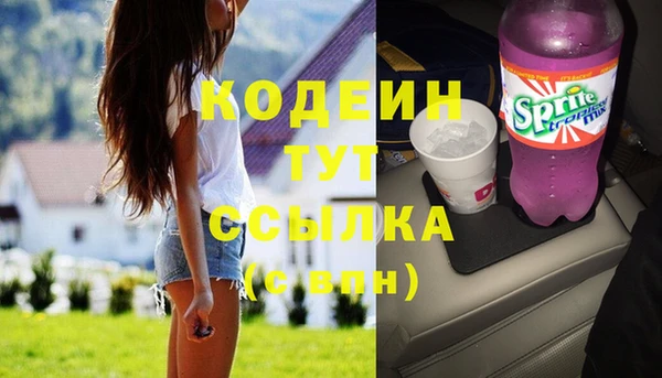 дживик Ельня