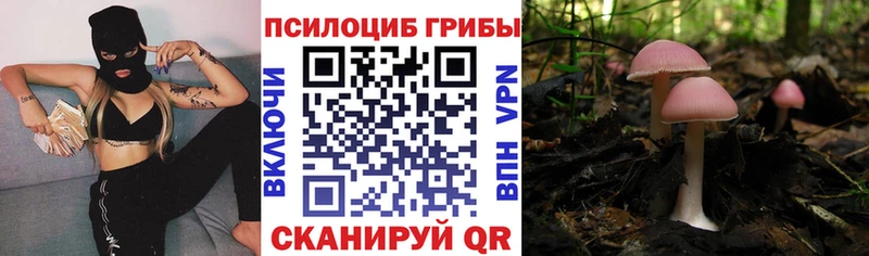 Купить где  Кинешма  Галлюциногенные грибы ЛСД 